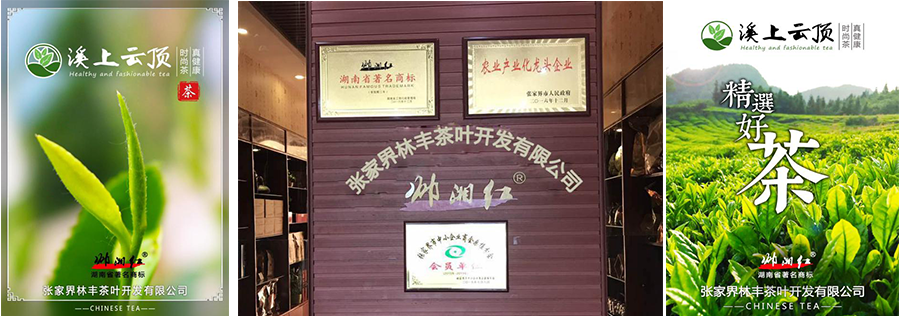 張家界林豐茶葉開(kāi)發(fā)有限公司,張家界茶葉開(kāi)發(fā),茶葉種植,桑植白茶加工,帥湘紅銷(xiāo)售
