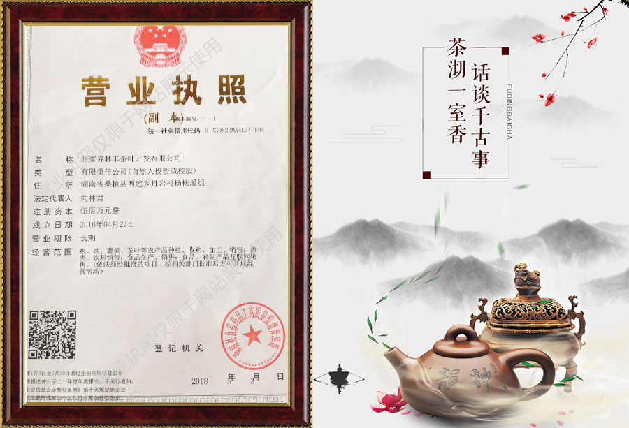 張家界林豐茶葉開(kāi)發(fā)有限公司,張家界茶葉開(kāi)發(fā),茶葉種植,桑植白茶加工,帥湘紅銷(xiāo)售